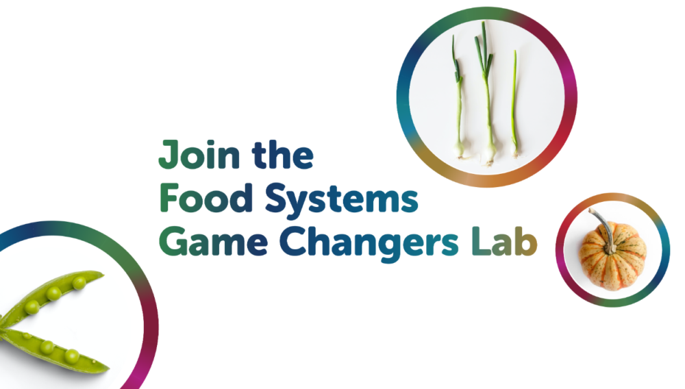 Food Systems Game Changers Lab Open Call