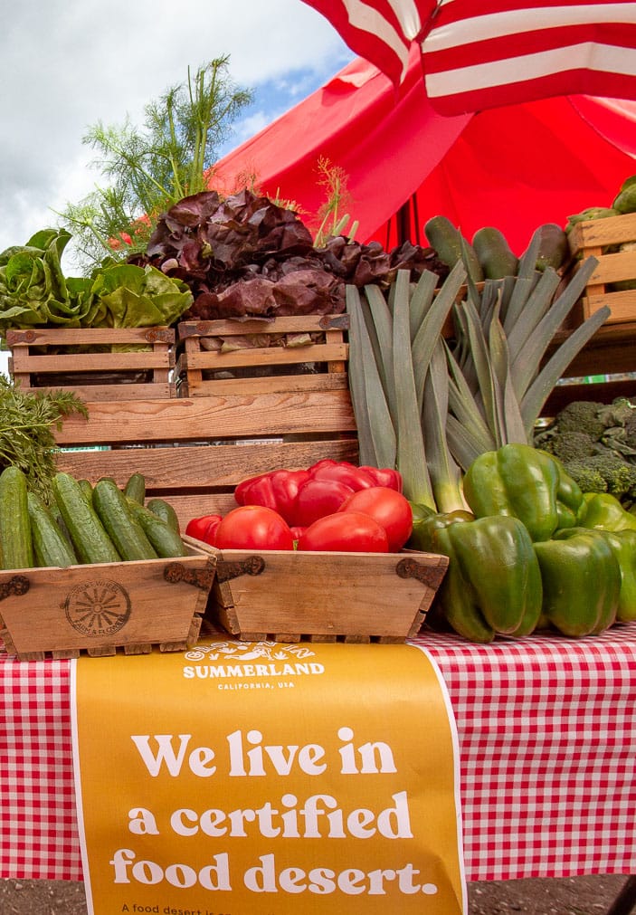 Locally grown vegetables for sale at Summerland’s Sweet Wheel Farms farm stand. PHOTO J ANDREW HILL / PHAROS CREATIVE